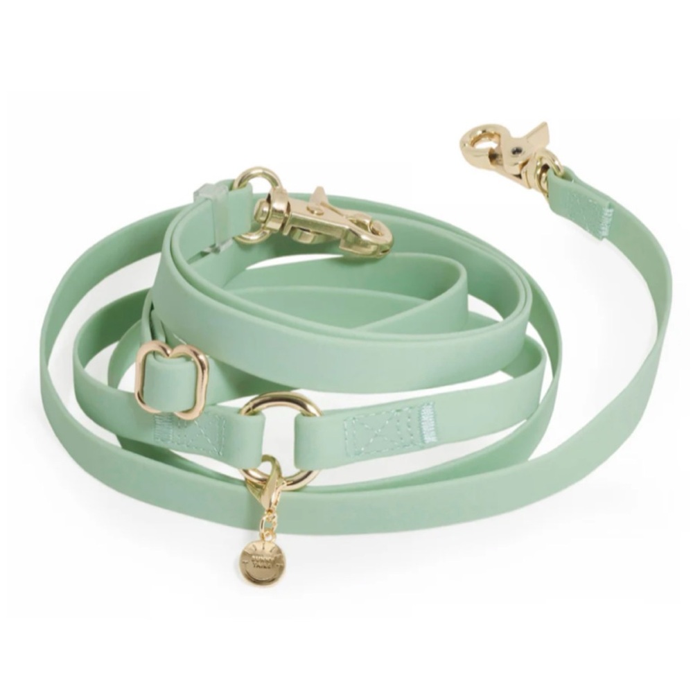 Sunny Tails Pistachio Green 4-in-1 Convertible Hands Free Cloud Dog Leash